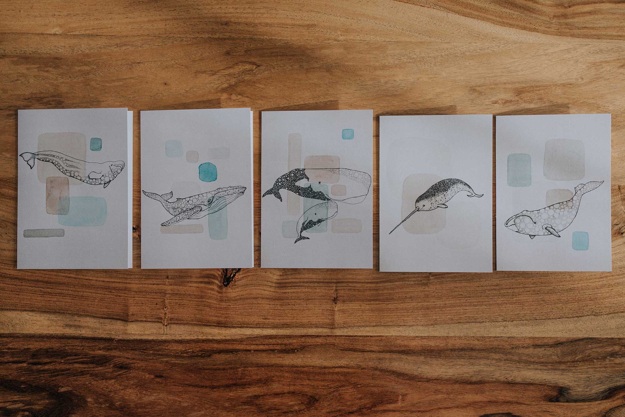 Ensemble Mammifères marins