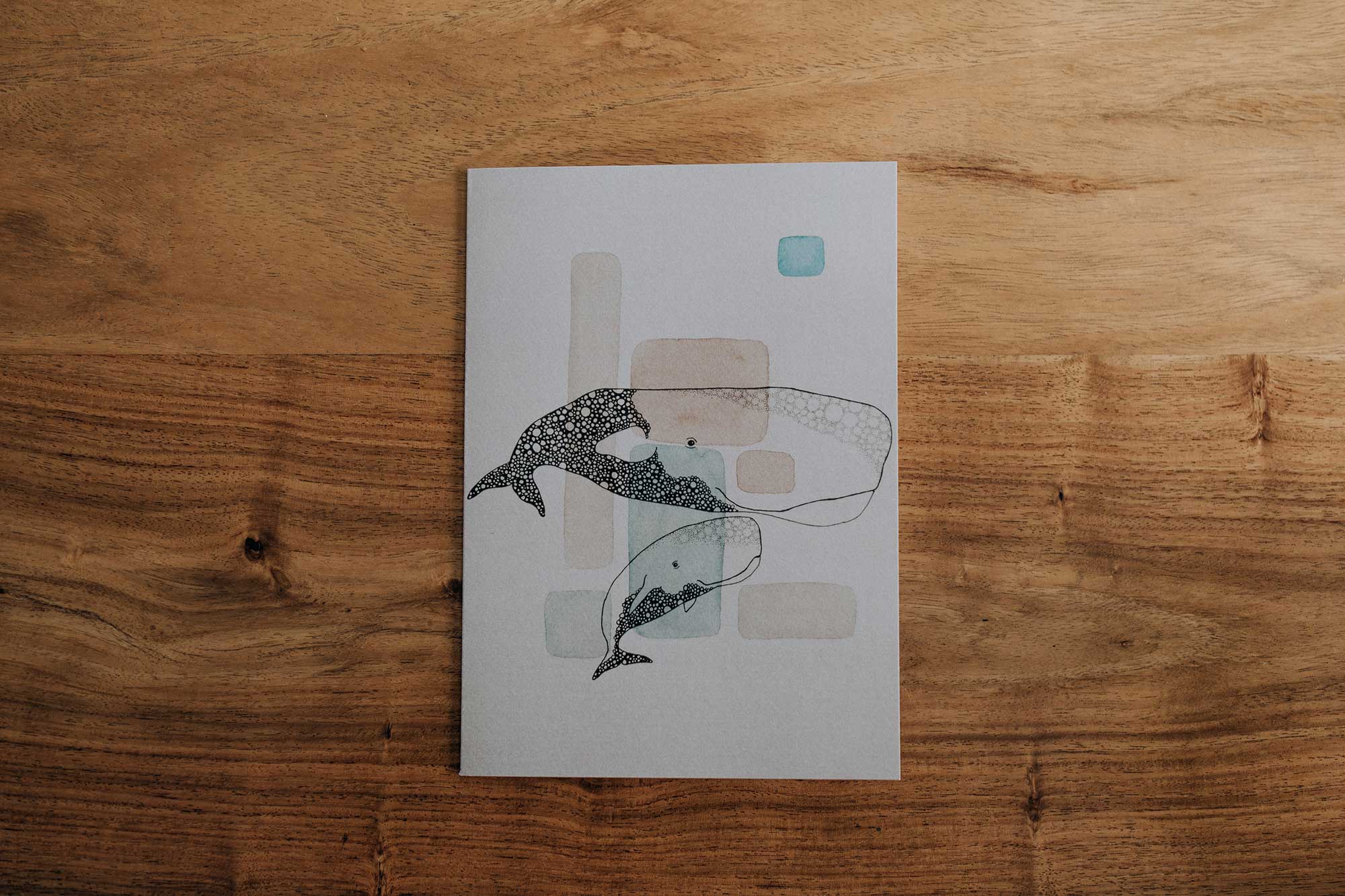 Ensemble Mammifères marins