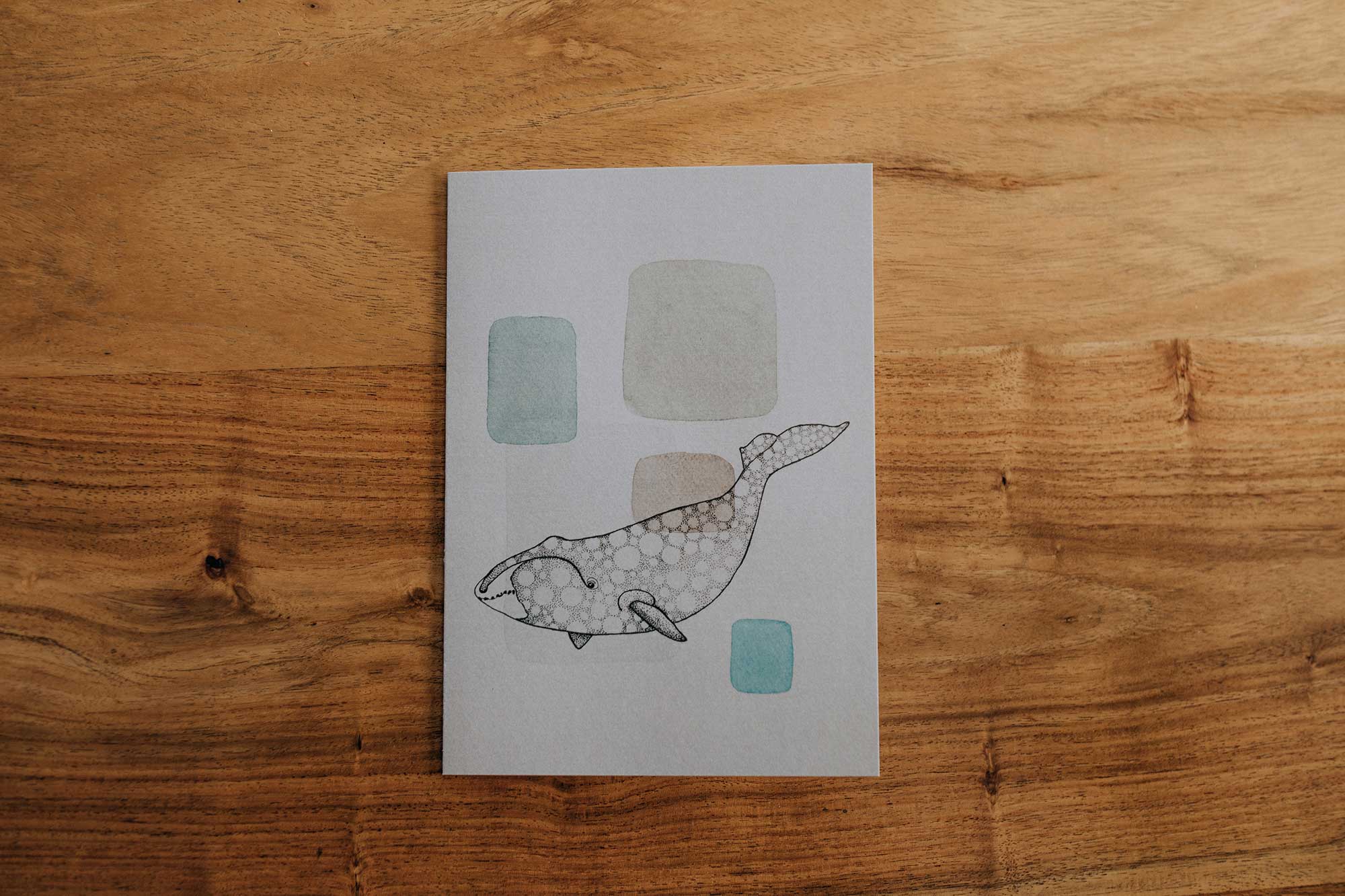 Ensemble Mammifères marins