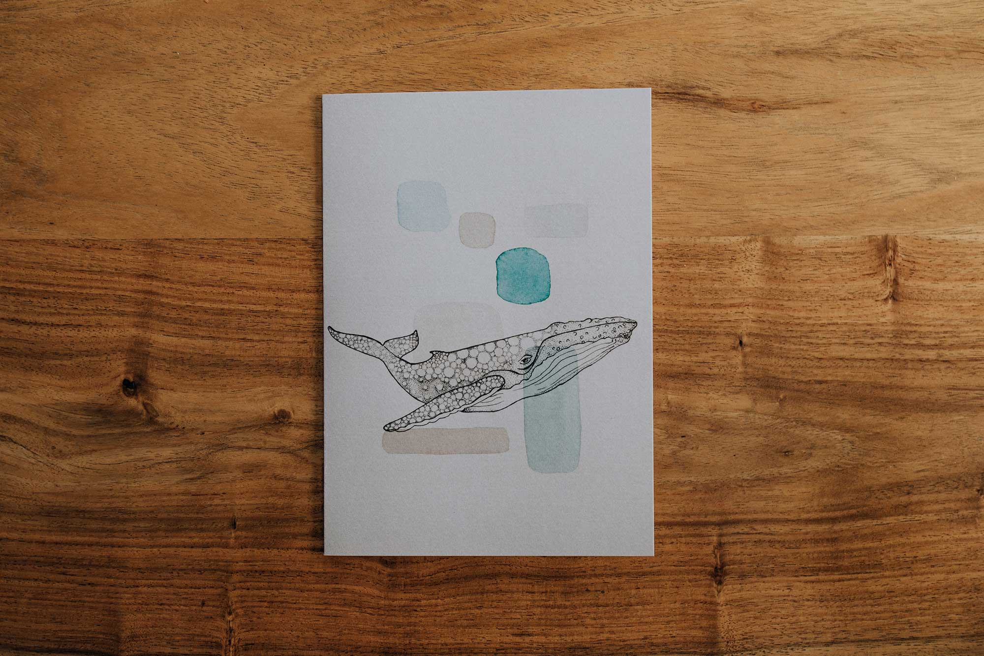 Ensemble Mammifères marins