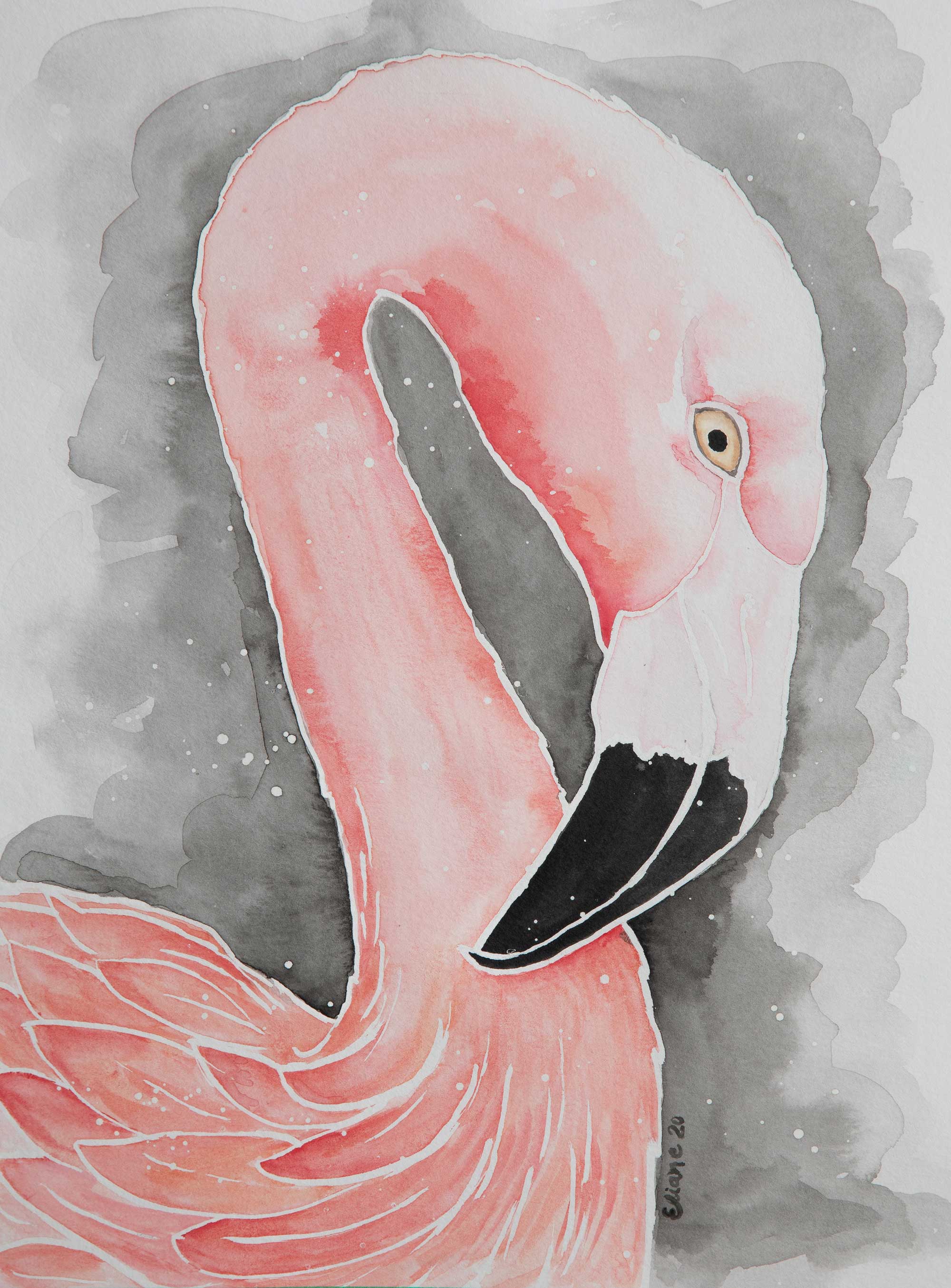 Flamant rose